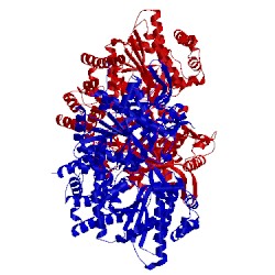 Image of CATH 2zb2