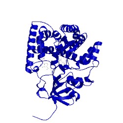 Image of CATH 2zbz