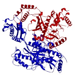 Image of CATH 2zd1