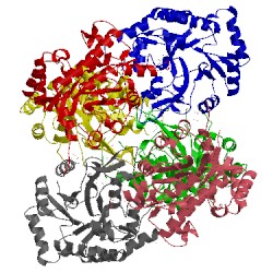 Image of CATH 2zds