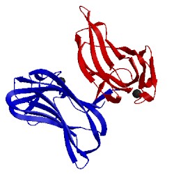 Image of CATH 2zew