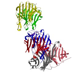 Image of CATH 2zf3