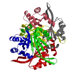 Image of CATH 2zfh