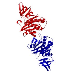 Image of CATH 2zgw