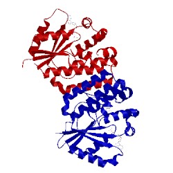 Image of CATH 2zi3