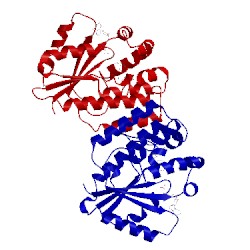 Image of CATH 2zi9