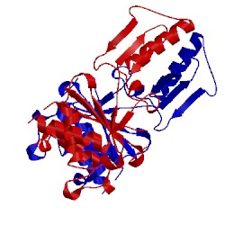 Image of CATH 2zjt