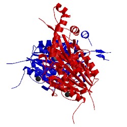 Image of CATH 2zkt