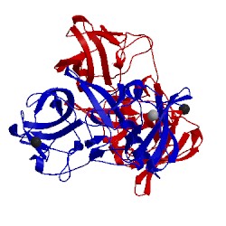 Image of CATH 2zl5