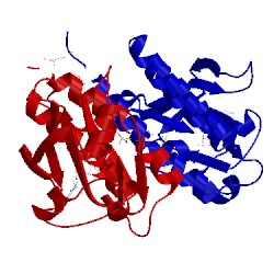 Image of CATH 2zmf