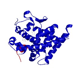 Image of CATH 2zmj