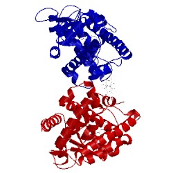 Image of CATH 2znp