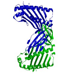 Image of CATH 2zol