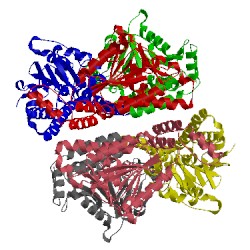 Image of CATH 2zqq