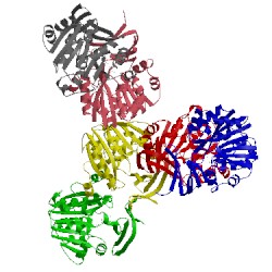 Image of CATH 2zsu