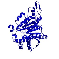 Image of CATH 2ztw