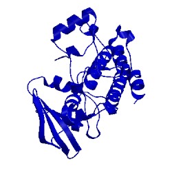 Image of CATH 2zv7
