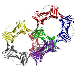 Image of CATH 2zvw