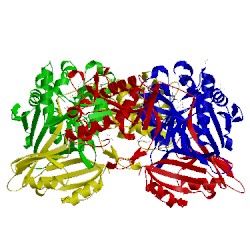 Image of CATH 2zw4
