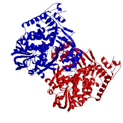 Image of CATH 2zxh
