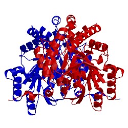 Image of CATH 2zyj
