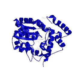 Image of CATH 2zyu