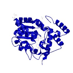 Image of CATH 2zyv