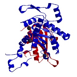 Image of CATH 3a5o