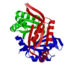 Image of CATH 3aa9