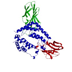 Image of CATH 3aad