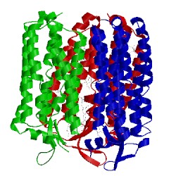 Image of CATH 3abw