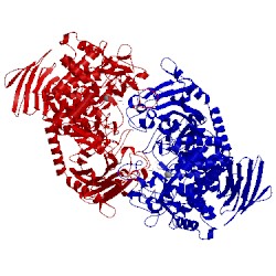 Image of CATH 3act