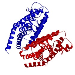 Image of CATH 3adw