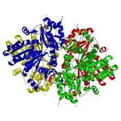 Image of CATH 3aep