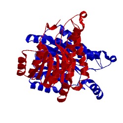 Image of CATH 3afm