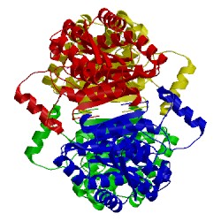 Image of CATH 3afn