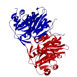 Image of CATH 3afo