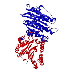 Image of CATH 3agc