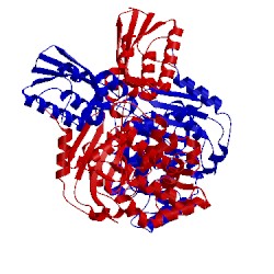 Image of CATH 3age