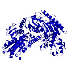 Image of CATH 3ahg