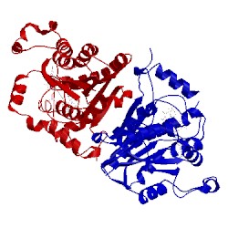 Image of CATH 3am3