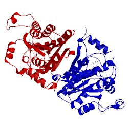 Image of CATH 3am5