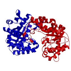 Image of CATH 3amc