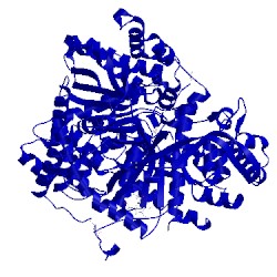 Image of CATH 3amv