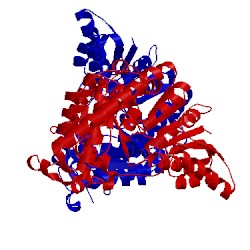 Image of CATH 3anm