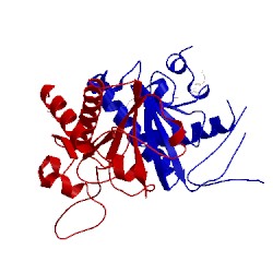 Image of CATH 3ano