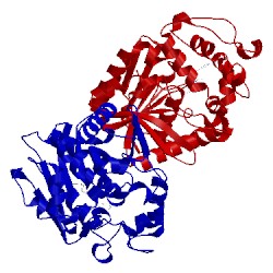 Image of CATH 3ant