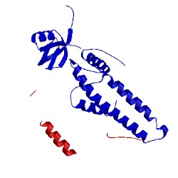 Image of CATH 3anw