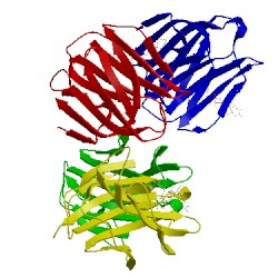 Image of CATH 3ap6