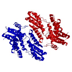 Image of CATH 3aqi